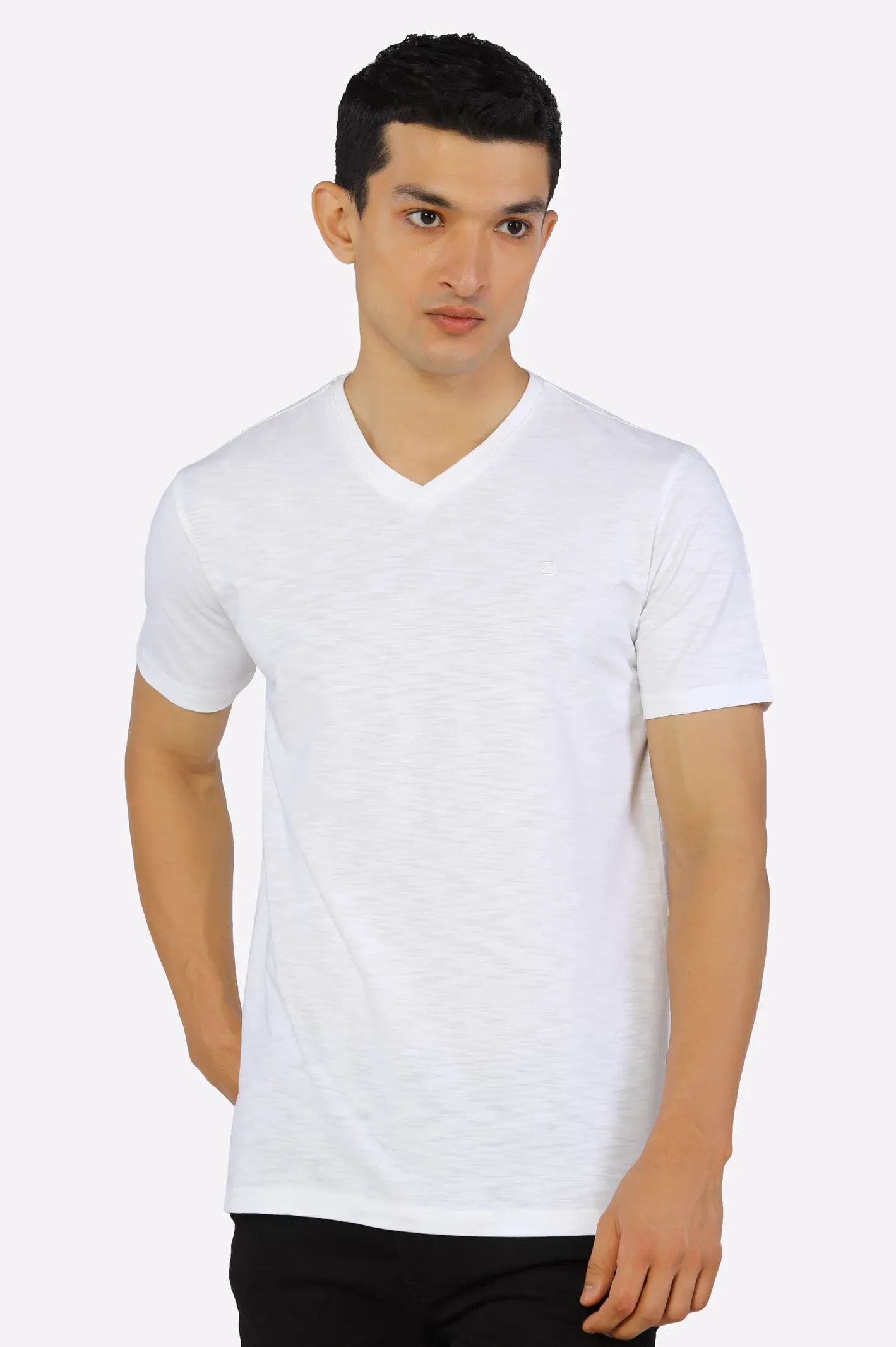 Basic V Neck T-Shirt