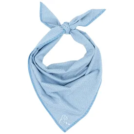 The Crispy Stripe | Performance Bandana | The Crispy Stripe - Beluga Blue/White